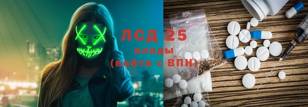 индика Белокуриха