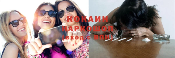 индика Белокуриха