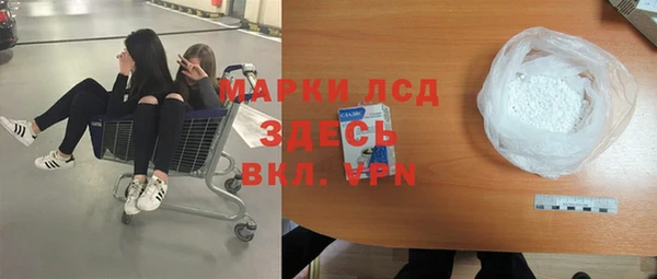 индика Белокуриха