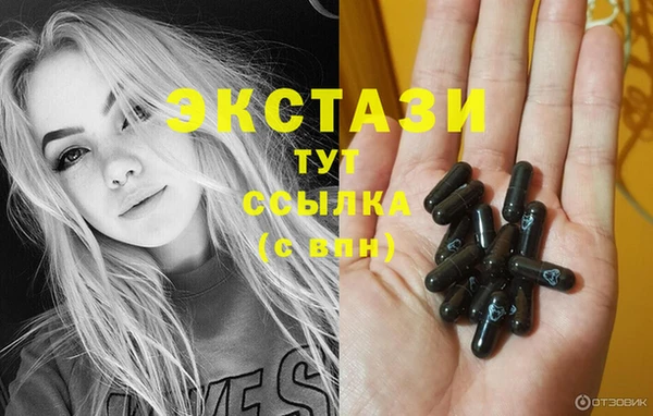 индика Белокуриха