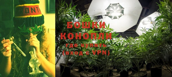 индика Белокуриха