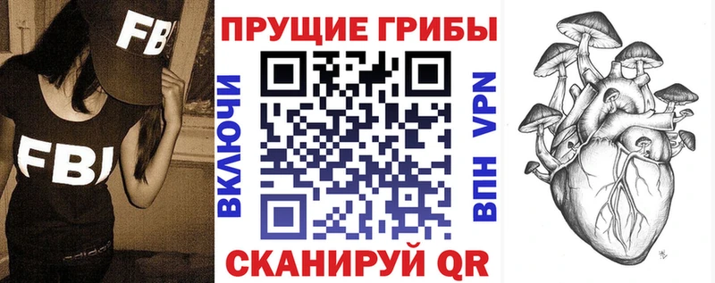 Псилоцибиновые грибы Psilocybe Белебей
